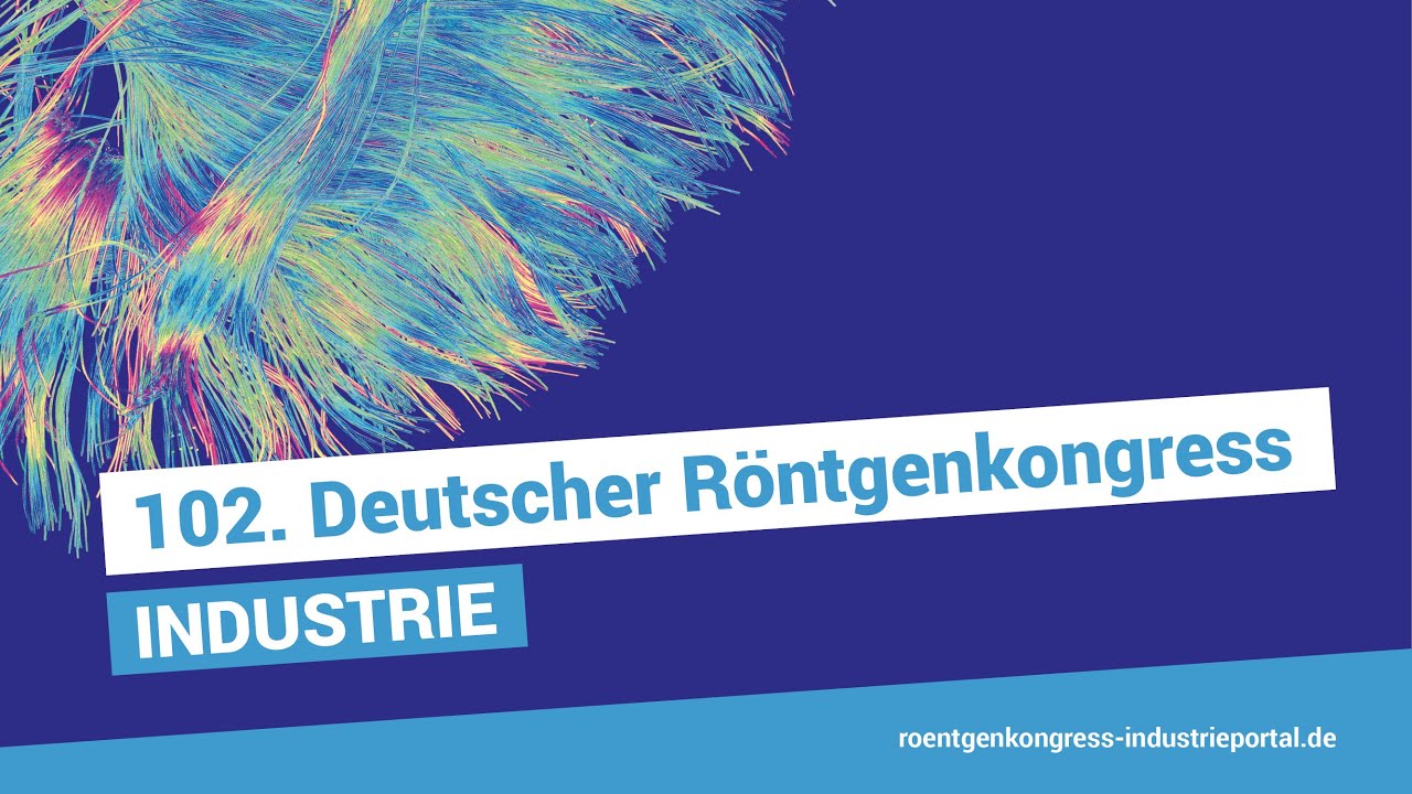 Moderne Bildgebung zur Visualisierung Quantifizierung der Fettleber